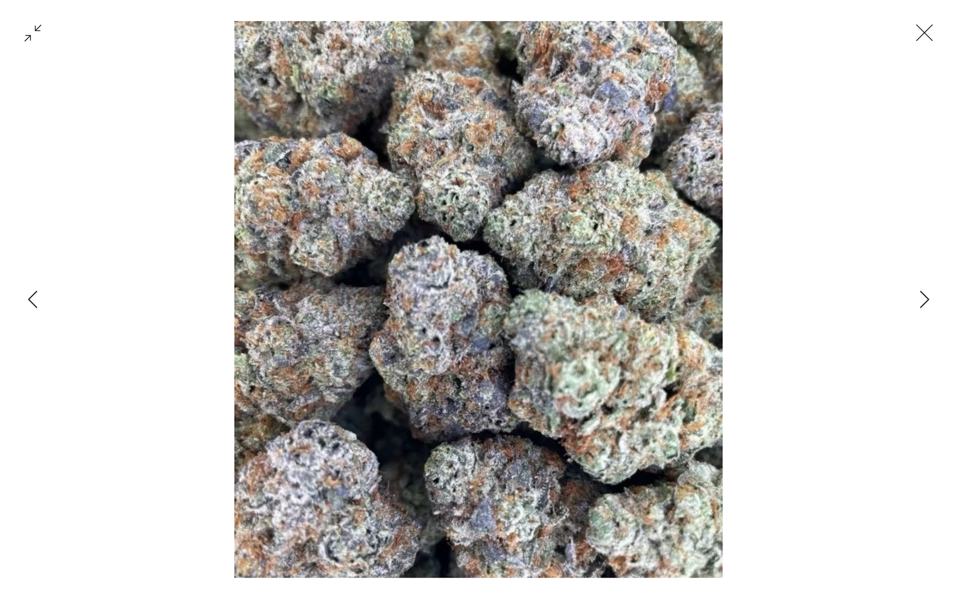 Guccizz Luxury High THCA Flower (H) Galactic Glue / 3.5G (1/8oz)